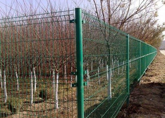 China Het veelkleurige Gegalvaniseerde Landbouwbedrijfnetwerk Schermen voor Fruitbomen het Planten leverancier